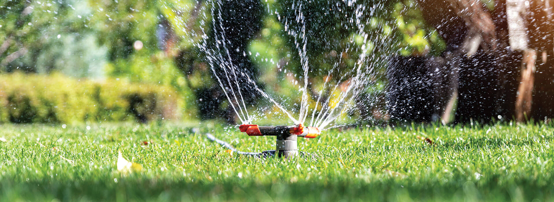General Facility Care LLC